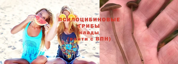 метадон Касимов