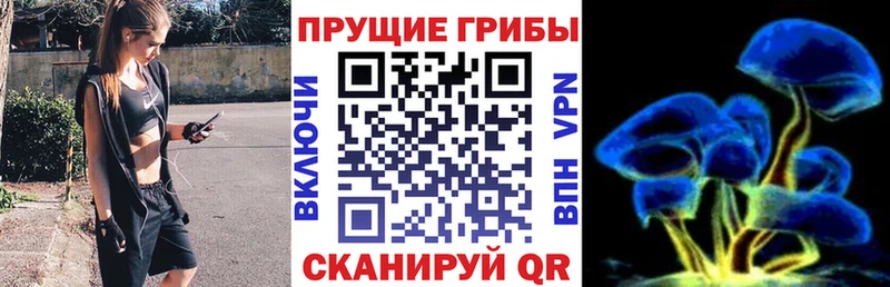 Галлюциногенные грибы мухоморы  купить закладку  Черкесск 