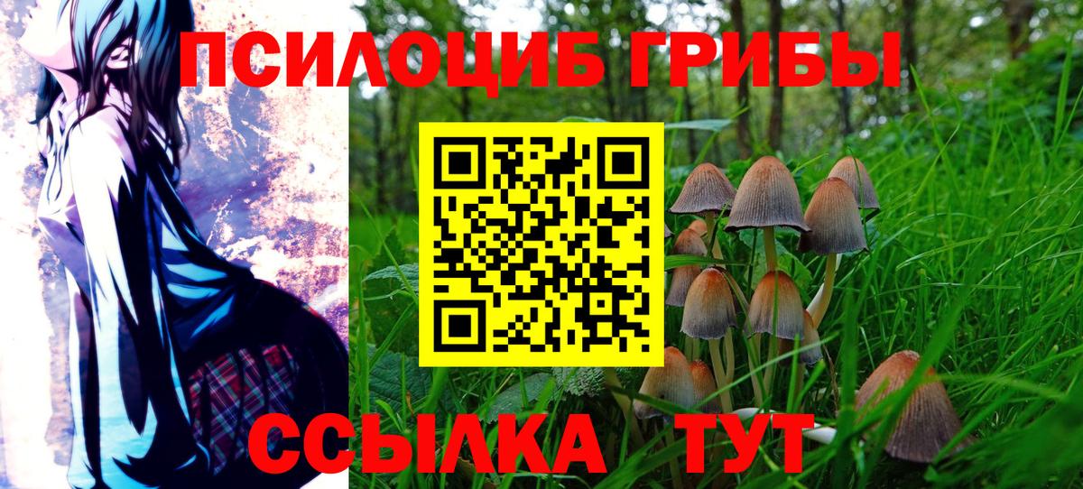 Псилоцибиновые грибы Cubensis  Вход с VPN  Черкесск  Псилоцибиновые грибы Psilocybe 