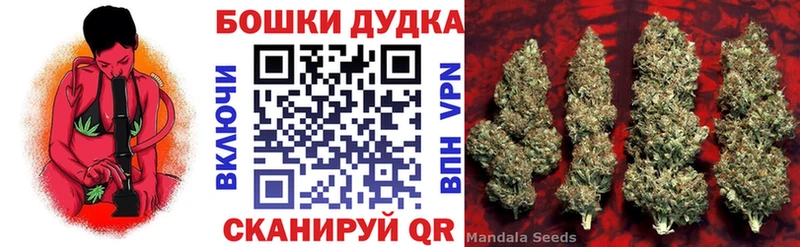 Каннабис семена Черкесск